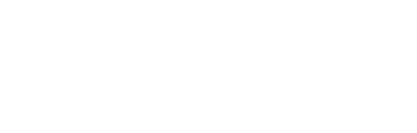 Chaitanya Academy